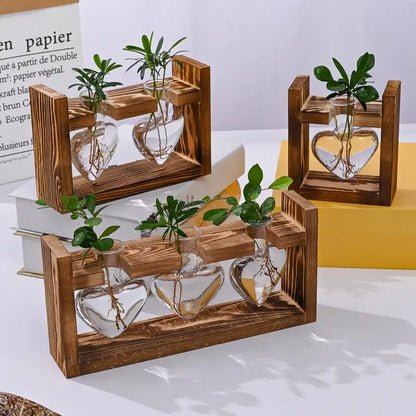Rustic heart hydroponic plant glass vase living room decor