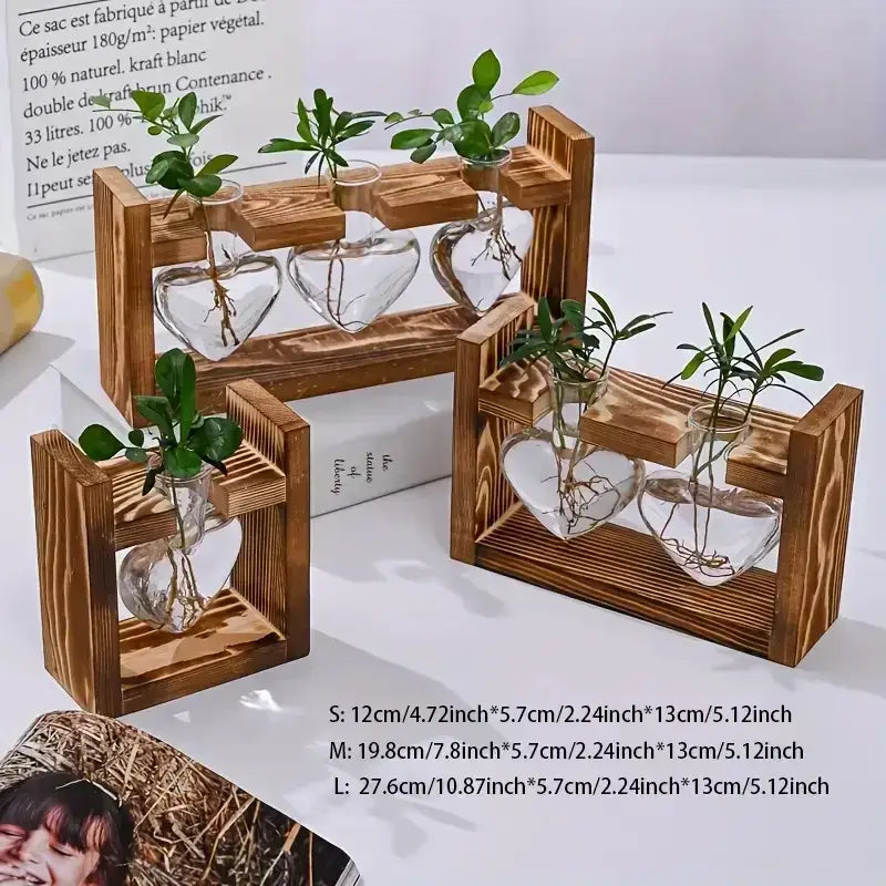 Rustic heart hydroponic plant glass vase living room decor
