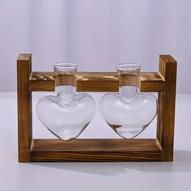 Rustic heart hydroponic plant glass vase living room decor