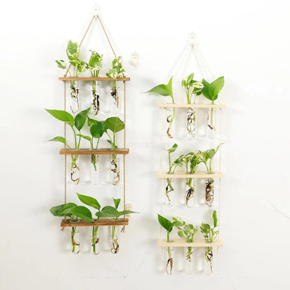 DecorBites™ Glass Wall Hanging Planters with Wooden Holder