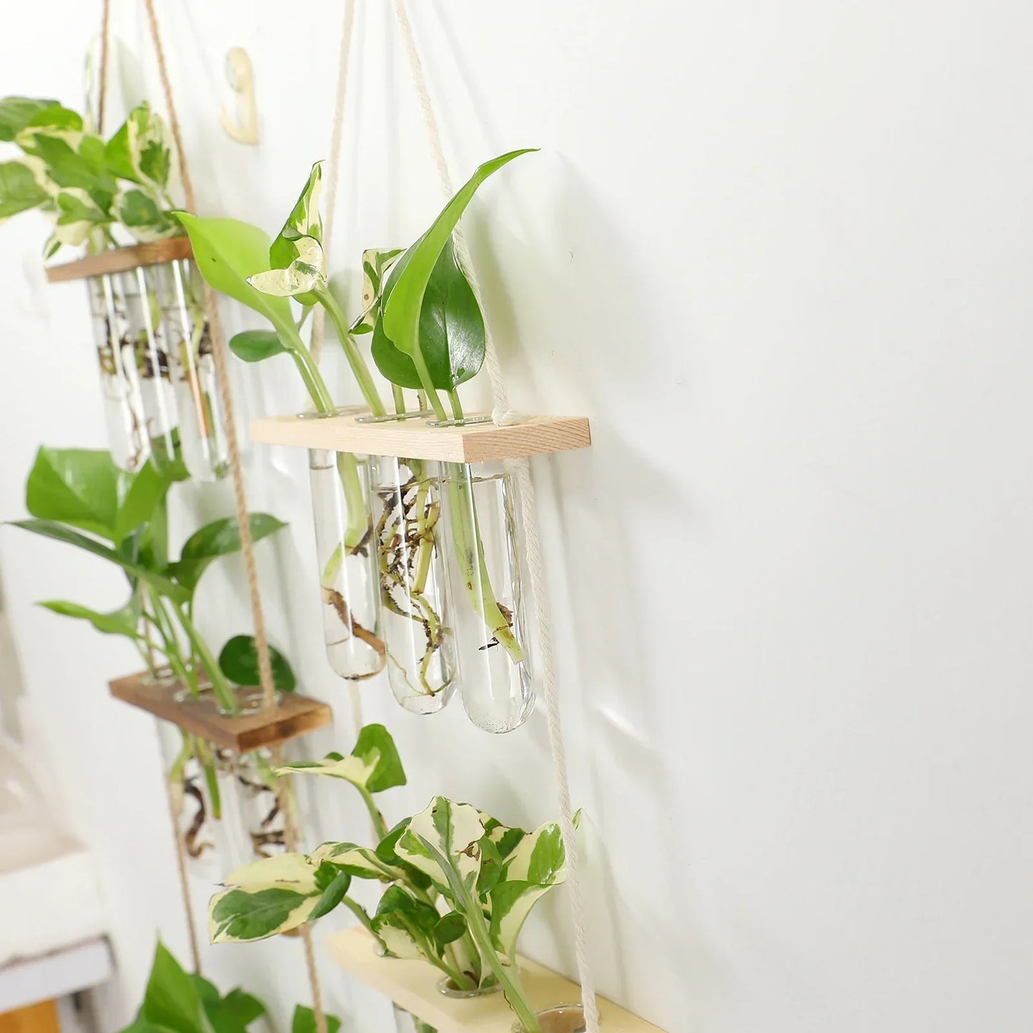 DecorBites™ Glass Wall Hanging Planters with Wooden Holder