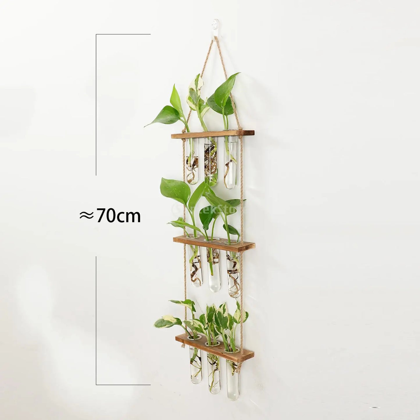 DecorBites™ Glass Wall Hanging Planters with Wooden Holder
