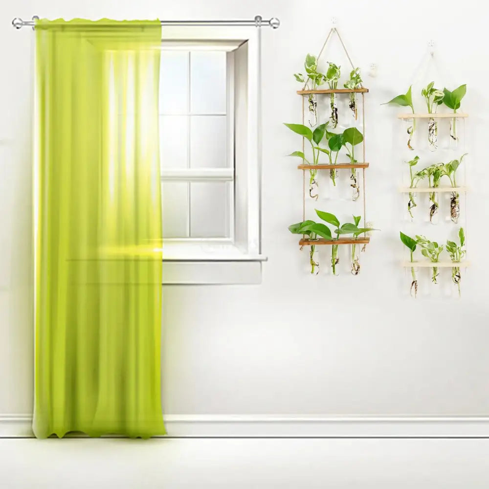 Wooden hanging plant rack with glass test tubes living room decor