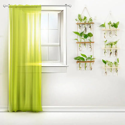 Wooden hanging plant rack with glass test tubes living room decor
