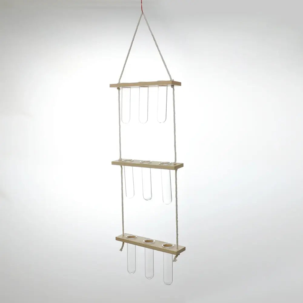 Wooden hanging plant rack with glass test tubes living room decor