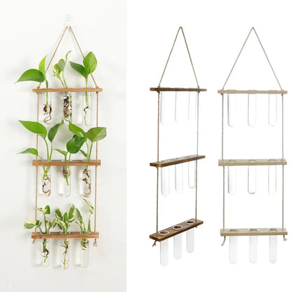 Wooden hanging plant rack with glass test tubes living room decor
