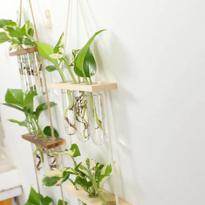 Wooden hanging plant rack with glass test tubes living room decor