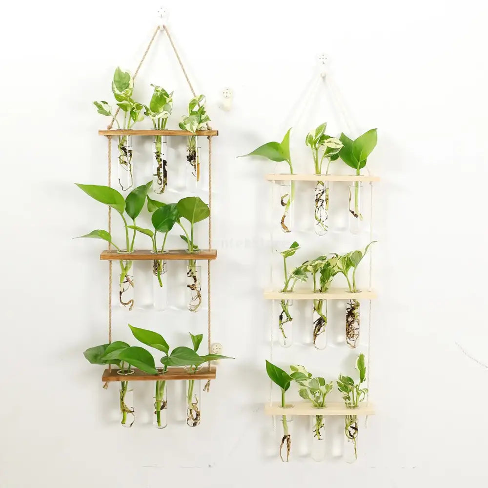 Wooden hanging plant rack with glass test tubes living room decor