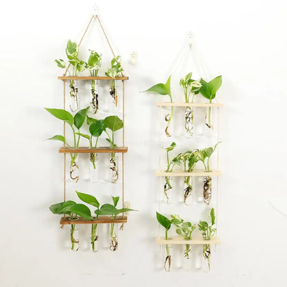 Wooden hanging plant rack with glass test tubes living room decor