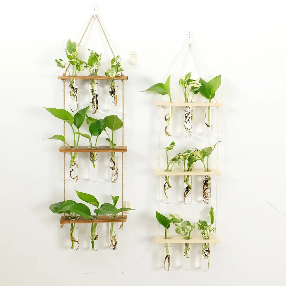Wooden hanging plant rack with glass test tubes living room decor