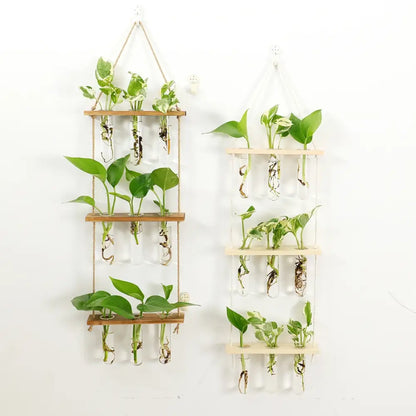 Wooden hanging plant rack with glass test tubes living room decor