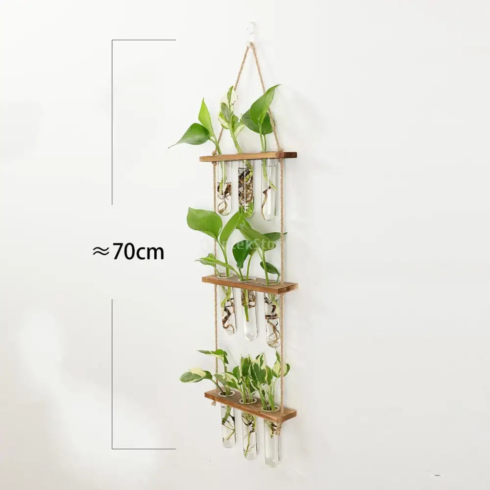Wooden hanging plant rack with glass test tubes living room decor