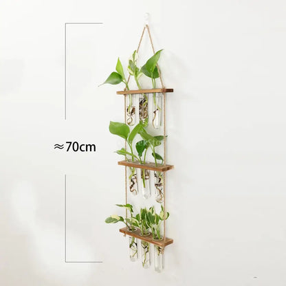 Wooden hanging plant rack with glass test tubes living room decor