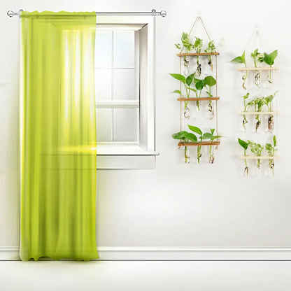 Wooden hanging plant rack with glass test tubes living room decor