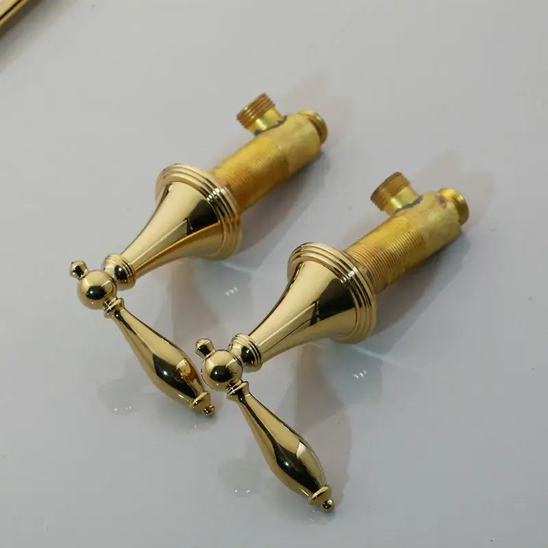 golden plated ornate tray toilet paper holder bathroom