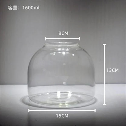 DecorBites™ Green Moss Glass Vase Terrarium Container