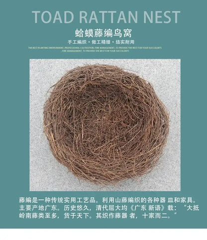 Rustic brown rattan bird nest with eggs living room decor garden set