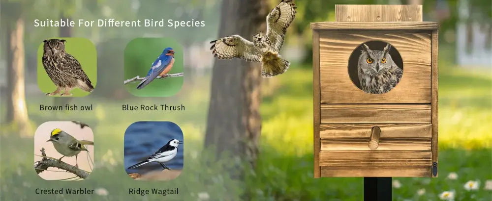Rustic light brown wooden screech owl house outdoor nesting box