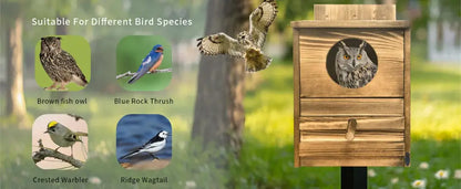 Rustic light brown wooden screech owl house outdoor nesting box