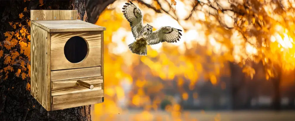 Rustic light brown wooden screech owl house outdoor nesting box