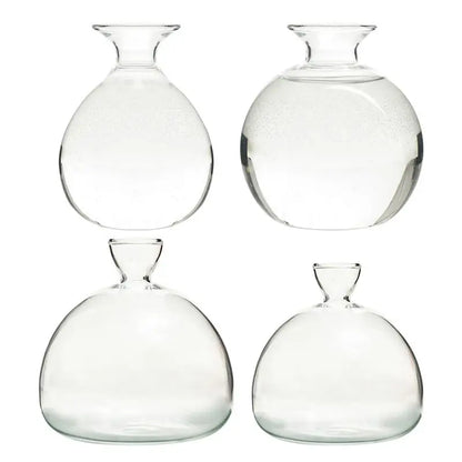 DecorBites™ "Hydroponic Avocado Seed Cultivation Vase"