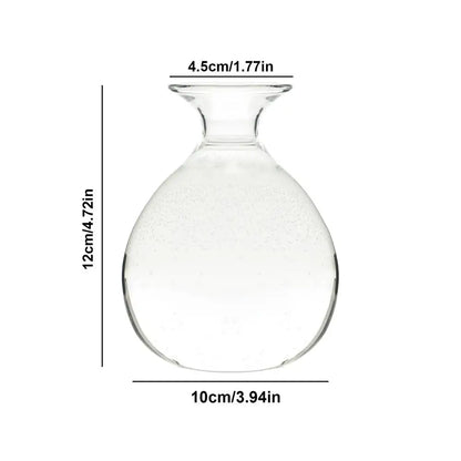 DecorBites™ "Hydroponic Avocado Seed Cultivation Vase"