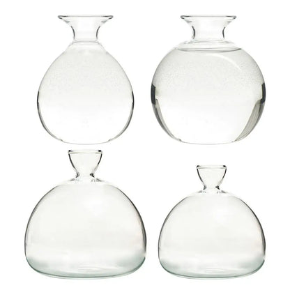 DecorBites™ "Hydroponic Avocado Seed Cultivation Vase"