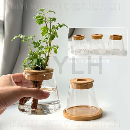 DecorBites™ Hydroponic Glass Flower Pots - Set of 2