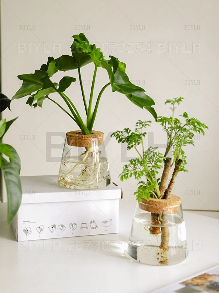 DecorBites™ Hydroponic Glass Flower Pots - Set of 2