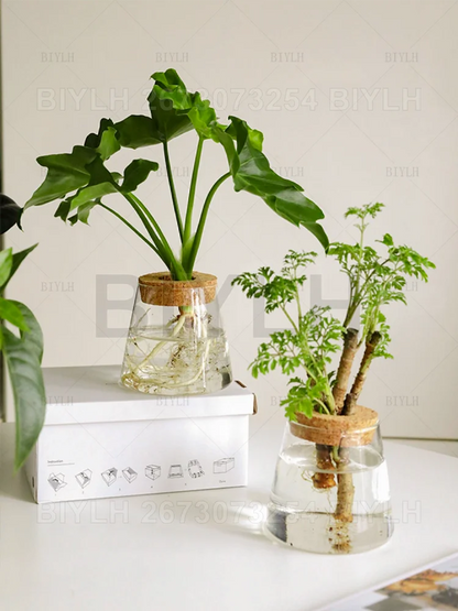 DecorBites™ Hydroponic Glass Flower Pots - Set of 2