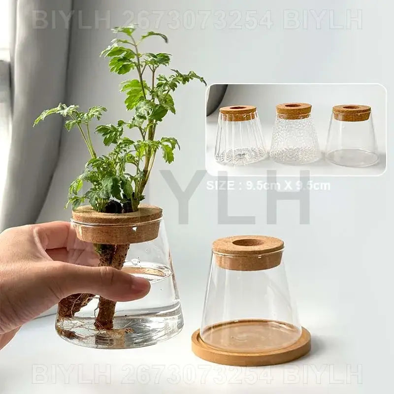 Modern clear glass flower pots with wood base living room planters