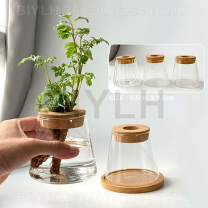 Modern clear glass flower pots with wood base living room planters