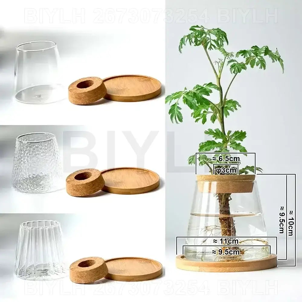 Modern clear glass flower pots with wood base living room planters