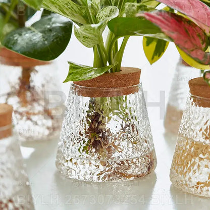 Modern clear glass flower pots with wood base living room planters