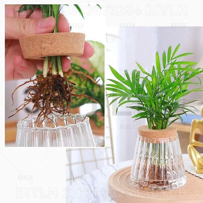Modern clear glass flower pots with wood base living room planters
