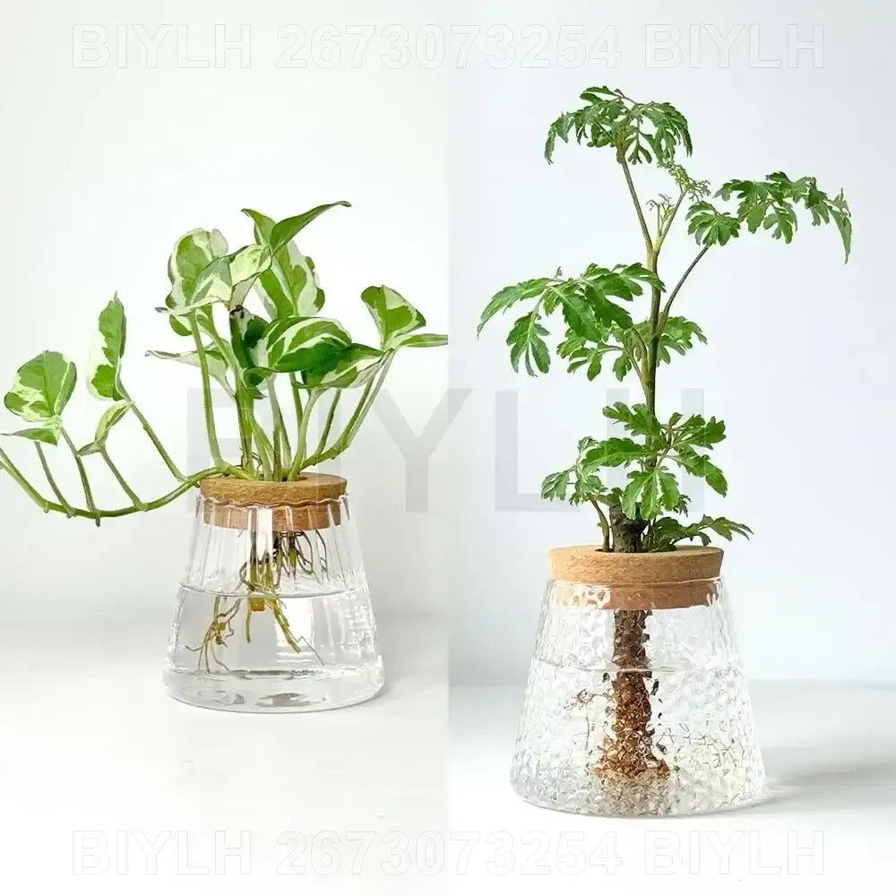 Modern clear glass flower pots with wood base living room planters