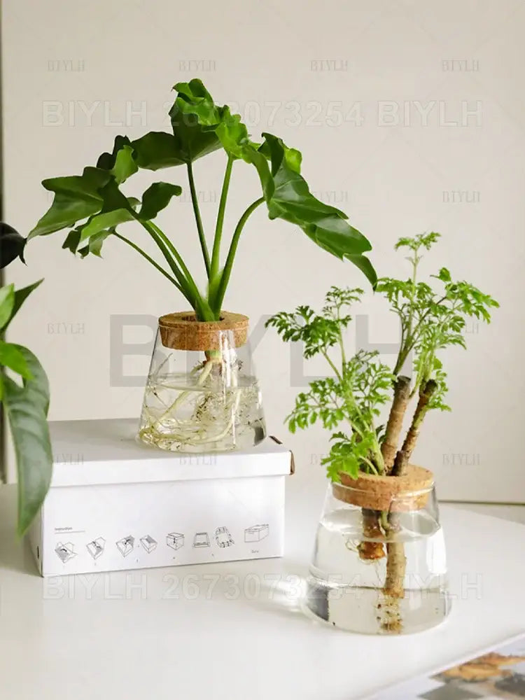 Modern clear glass flower pots with wood base living room planters