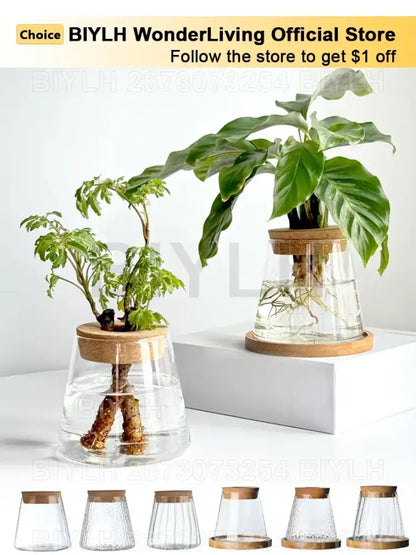 Modern clear glass flower pots with wood base living room planters