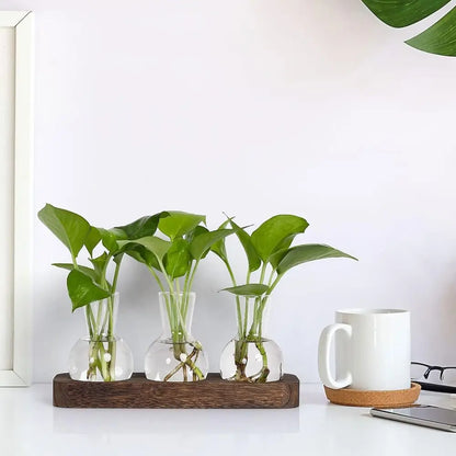 DecorBites™ Hydroponic Glass Vase with Wooden Tray