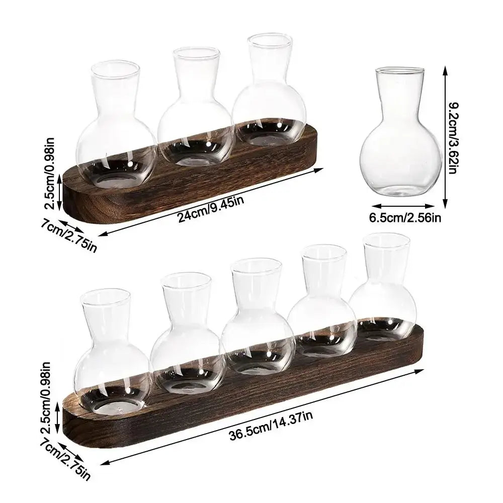 Modern hydroponic glass vases with wooden tray living room decor