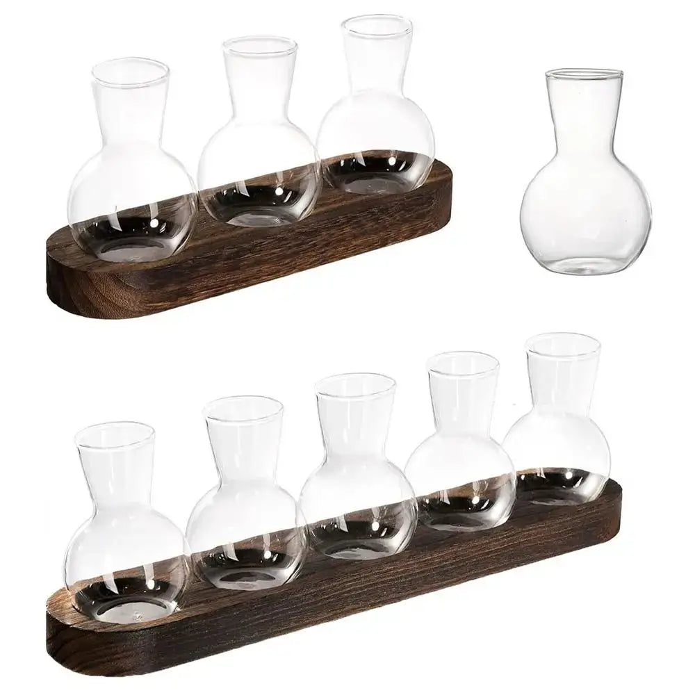 Modern hydroponic glass vases with wooden tray living room decor