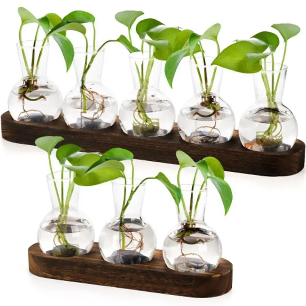 Modern hydroponic glass vases with wooden tray living room decor