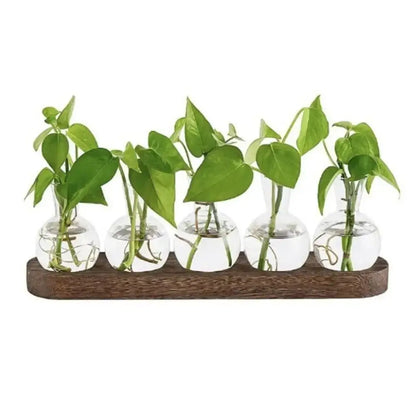 Modern hydroponic glass vases with wooden tray living room decor