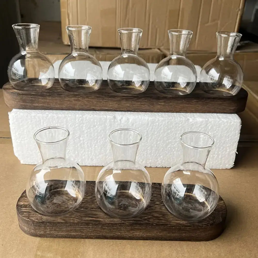 Modern hydroponic glass vases with wooden tray living room decor