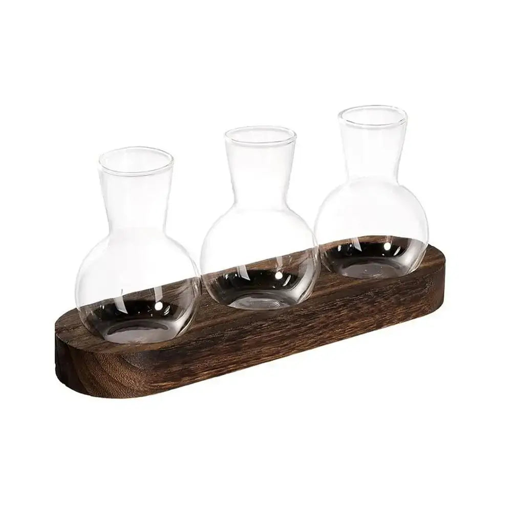 Modern hydroponic glass vases with wooden tray living room decor