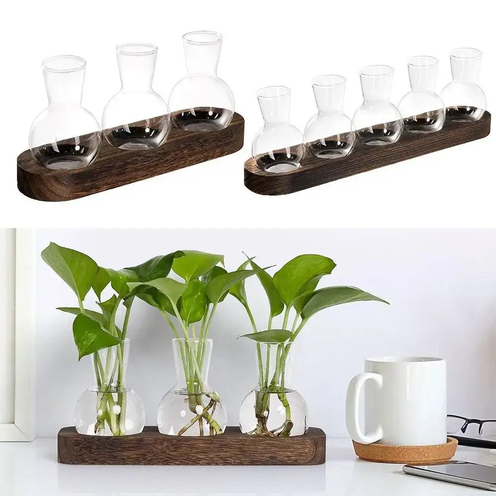 Modern hydroponic glass vases with wooden tray living room decor