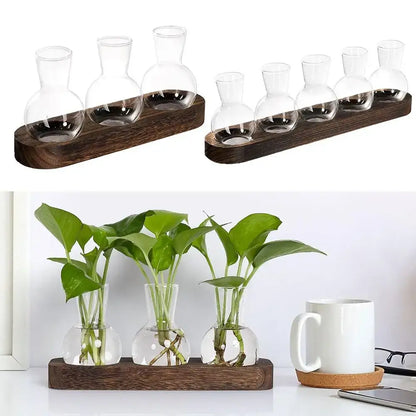 Modern hydroponic glass vases with wooden tray living room decor