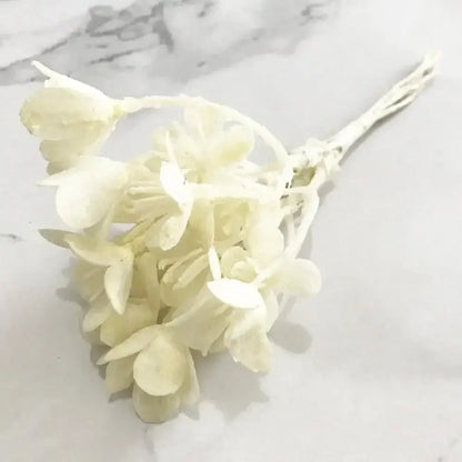 ivory flower cherry stamen berries wedding decor living room