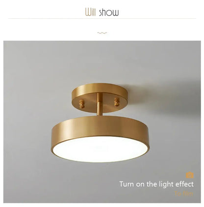 Modern gold circular led ceiling light for bedroom living room