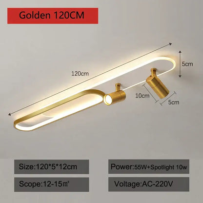 Modern gold led ceiling lights with spotlights for living room